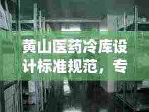 黄山医药冷库设计标准规范，专业指南揭秘冷库建设秘籍