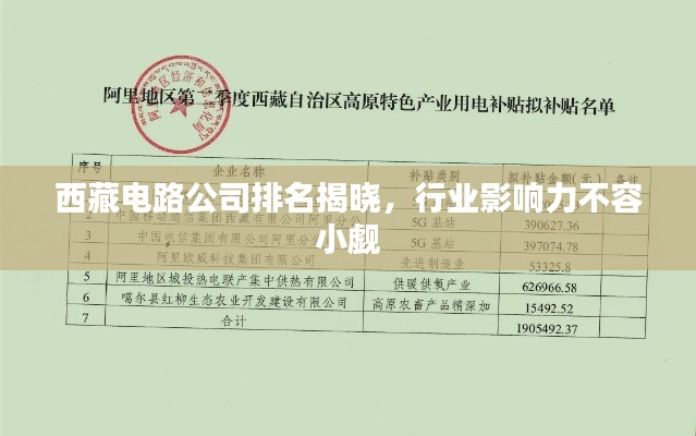 西藏电路公司排名揭晓，行业影响力不容小觑