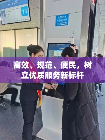 高效、规范、便民，树立优质服务新标杆