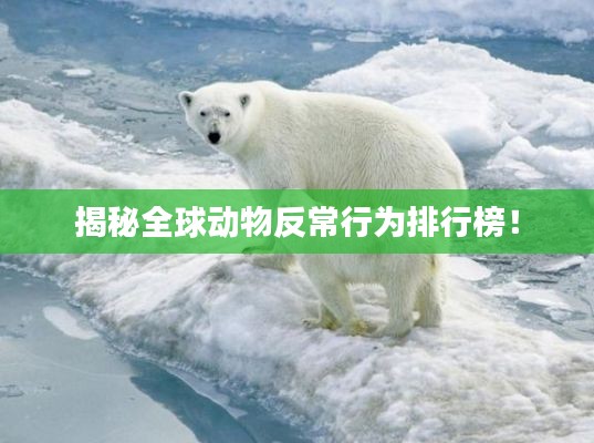揭秘全球动物反常行为排行榜！