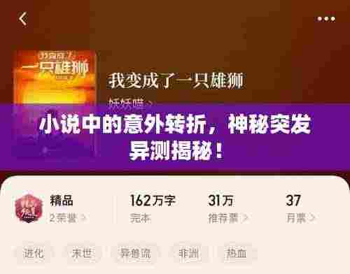 小说中的意外转折，神秘突发异测揭秘！