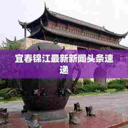 宜春锦江最新新闻头条速递