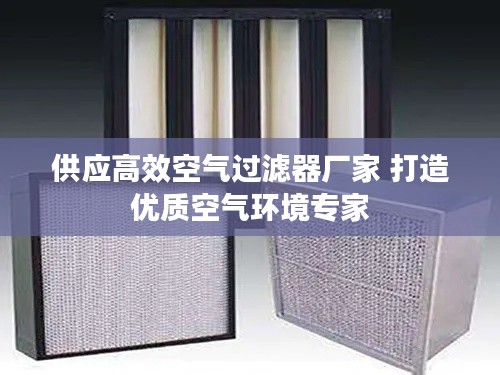供应高效空气过滤器厂家 打造优质空气环境专家