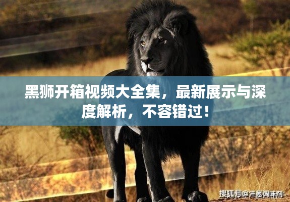黑狮开箱视频大全集，最新展示与深度解析，不容错过！