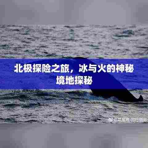 北极探险之旅，冰与火的神秘境地探秘