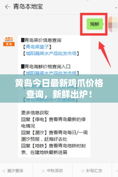 黄岛今日最新鸡爪价格查询，新鲜出炉！