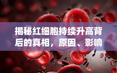 揭秘红细胞持续升高背后的真相，原因、影响及应对策略