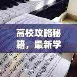 高校攻略秘籍，最新学习秘籍，探索学习之路的捷径秘籍（高校学习攻略揭秘）