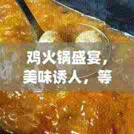 鸡火锅盛宴，美味诱人，等你来尝！