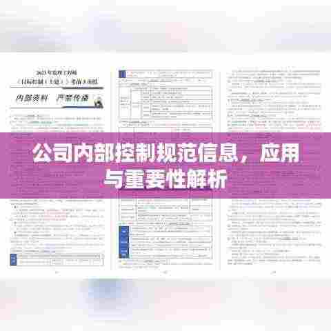 公司内部控制规范信息，应用与重要性解析