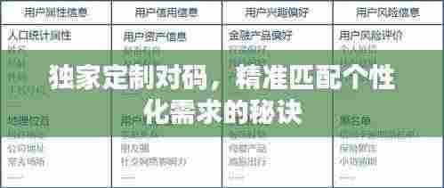 独家定制对码，精准匹配个性化需求的秘诀