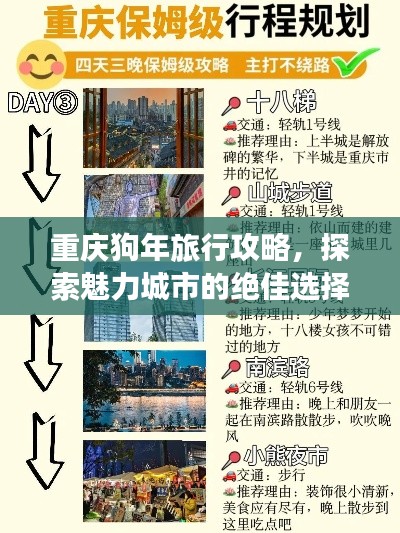 神采奕奕 第3页