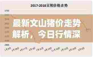 最新文山猪价走势解析，今日行情深度剖析