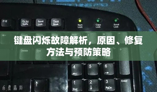 键盘闪烁故障解析，原因、修复方法与预防策略