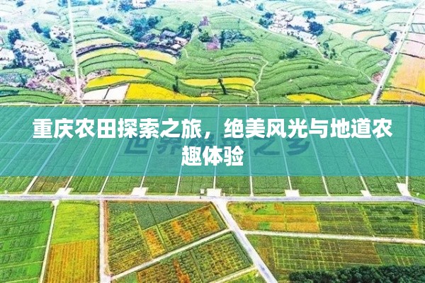 重庆农田探索之旅，绝美风光与地道农趣体验