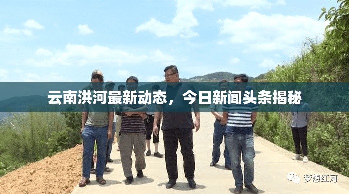 鸢飞戾天 第3页