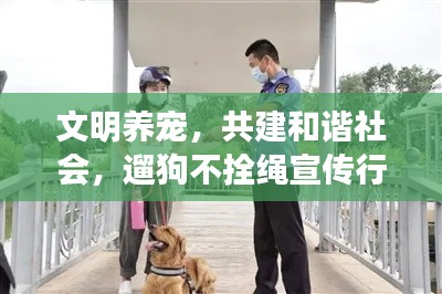 文明养宠，共建和谐社会，遛狗不拴绳宣传行动启动