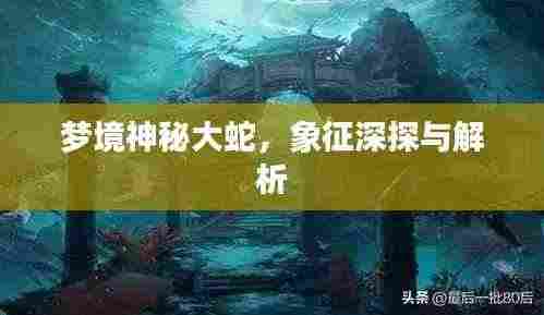 梦境神秘大蛇，象征深探与解析