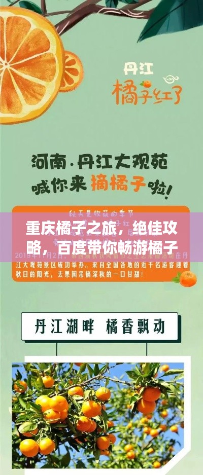 重庆橘子之旅,绝佳攻略,百度带你畅游橘子之乡!