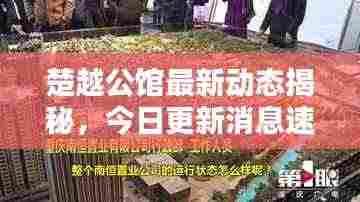 楚越公馆最新动态揭秘，今日更新消息速递