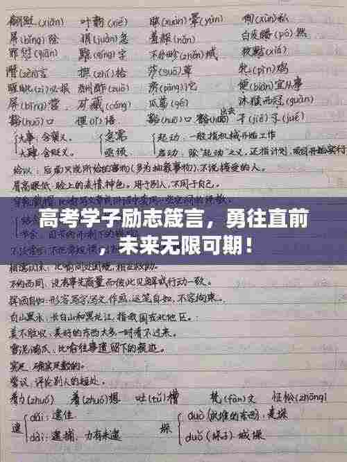 高考学子励志箴言，勇往直前，未来无限可期！
