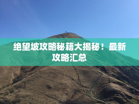 绝望坡攻略秘籍大揭秘！最新攻略汇总