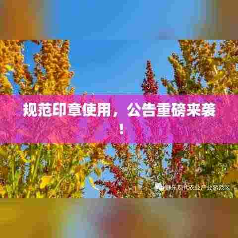 规范印章使用，公告重磅来袭！