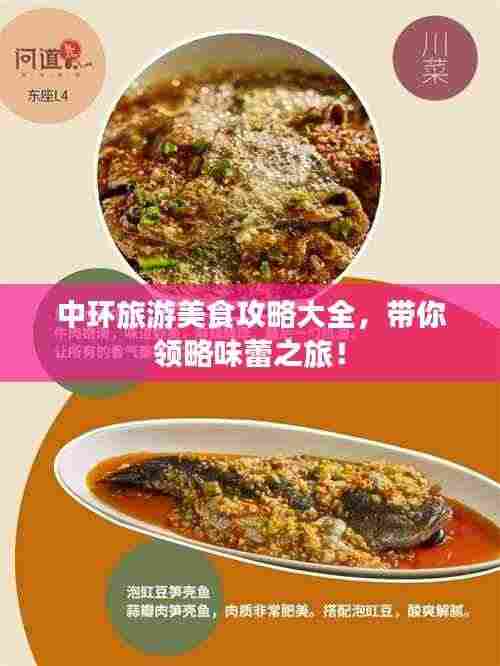 中环旅游美食攻略大全，带你领略味蕾之旅！