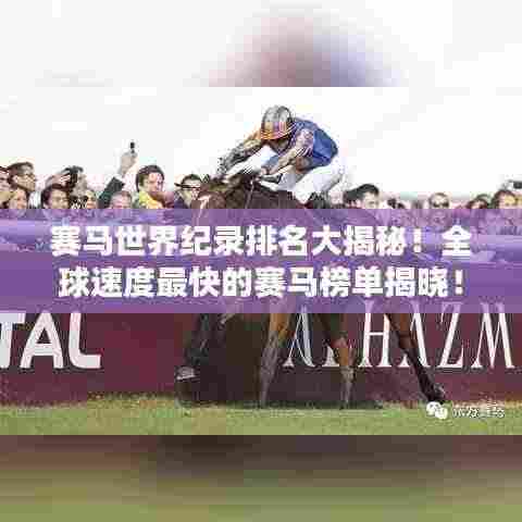 赛马世界纪录排名大揭秘！全球速度最快的赛马榜单揭晓！