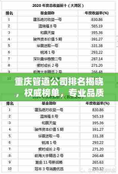 重庆管道公司排名揭晓，权威榜单，专业品质，值得信赖！