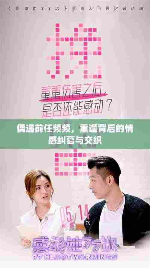 偶遇前任频频，重逢背后的情感纠葛与交织