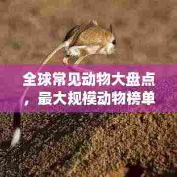 全球常见动物大盘点，最大规模动物榜单来袭！