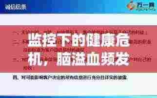 监控下的健康危机，脑溢血频发，现代社会的应对策略与挑战