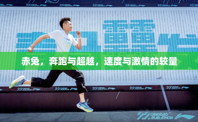 赤兔，奔跑与超越，速度与激情的较量