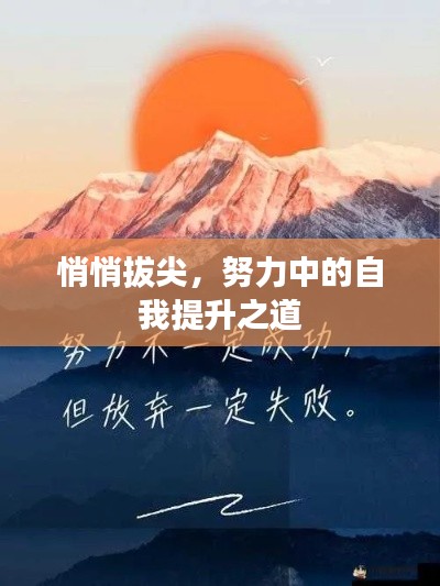 悄悄拔尖，努力中的自我提升之道