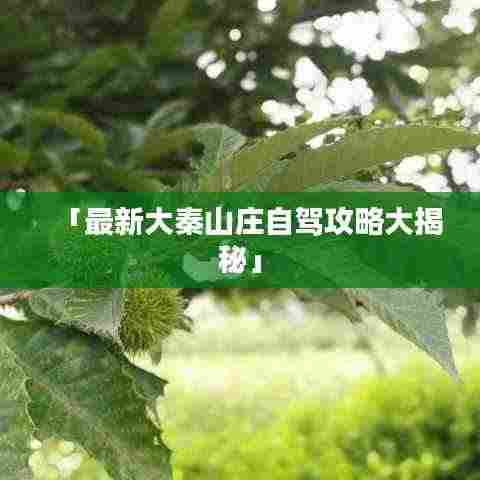 「最新大秦山庄自驾攻略大揭秘」