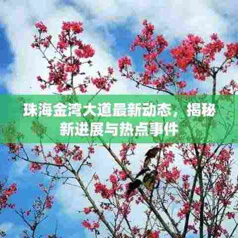 珠海金湾大道最新动态，揭秘新进展与热点事件
