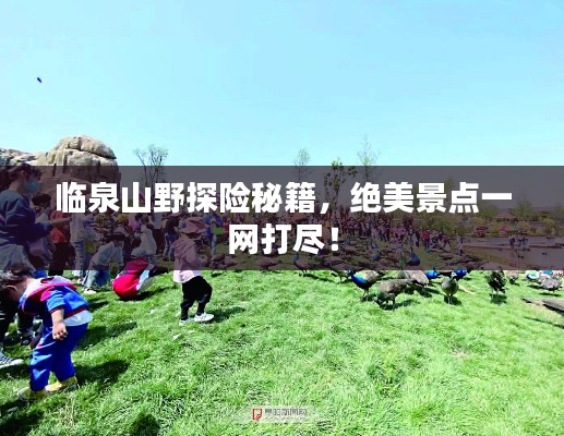 临泉山野探险秘籍，绝美景点一网打尽！
