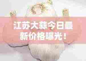 飞奇钩货 第2页