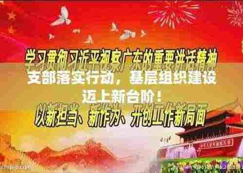 支部落实行动，基层组织建设迈上新台阶！