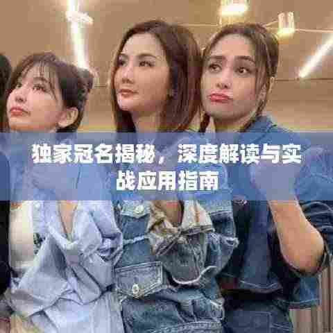 独家冠名揭秘，深度解读与实战应用指南