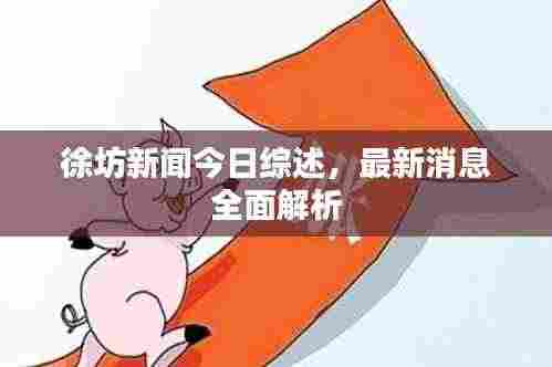 徐坊新闻今日综述，最新消息全面解析