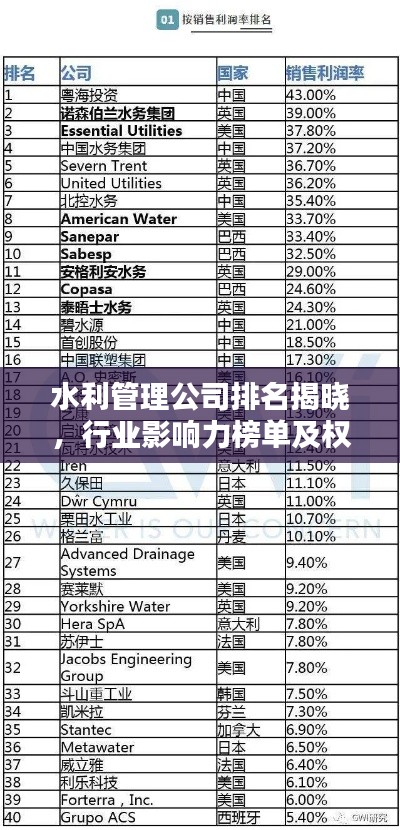 水利管理公司排名揭晓，行业影响力榜单及权威排名解析
