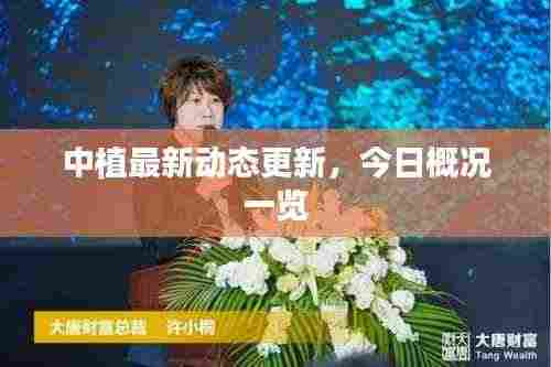 中植最新动态更新，今日概况一览