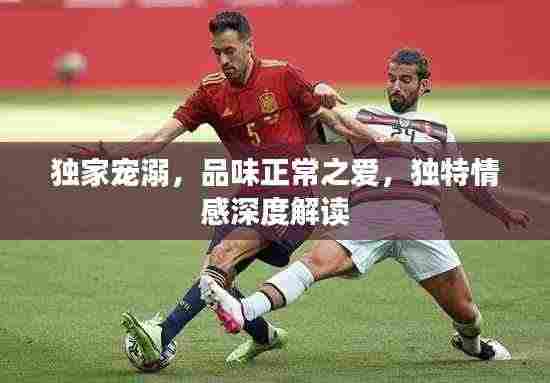 独家宠溺，品味正常之爱，独特情感深度解读