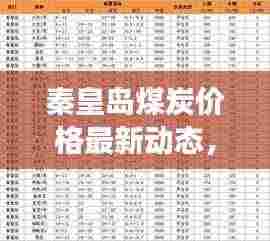 秦皇岛煤炭价格最新动态，市场走势及影响因素深度解析