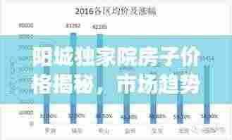 阳城独家院房子价格揭秘，市场趋势与影响因素全面解析