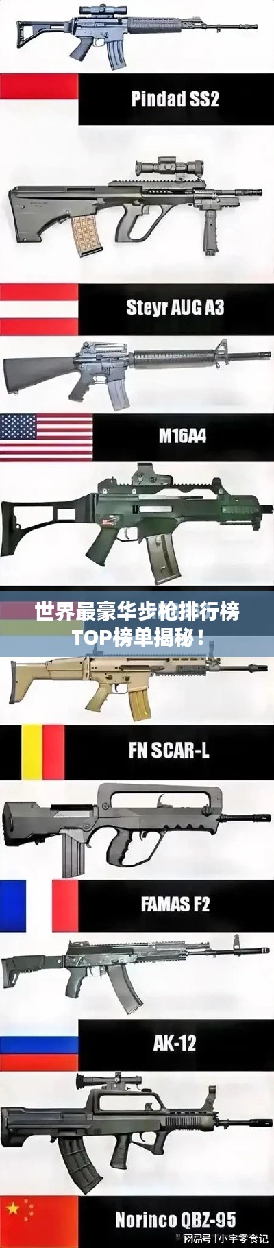 世界最豪华步枪排行榜TOP榜单揭秘！