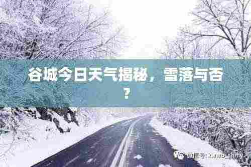 谷城今日天气揭秘，雪落与否？