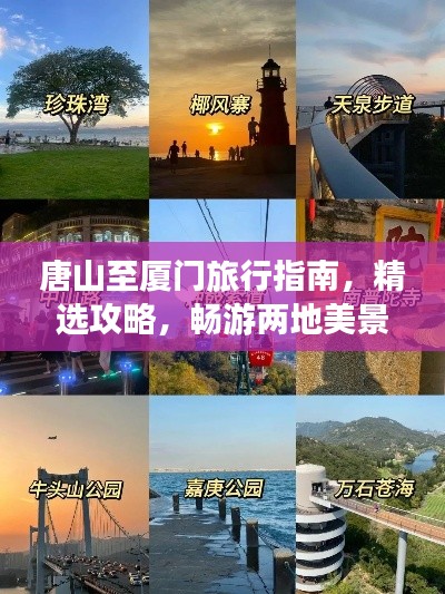 虫书鸟篆 第3页